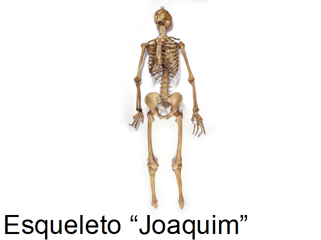 img15.png